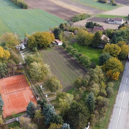 B&B Villa Pipacs Bácsfeketehegy Kültér fotó