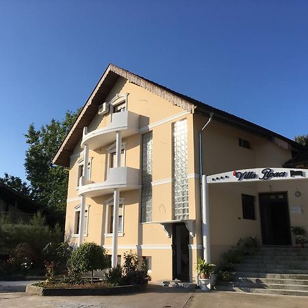 B&B Villa Pipacs Bácsfeketehegy Kültér fotó