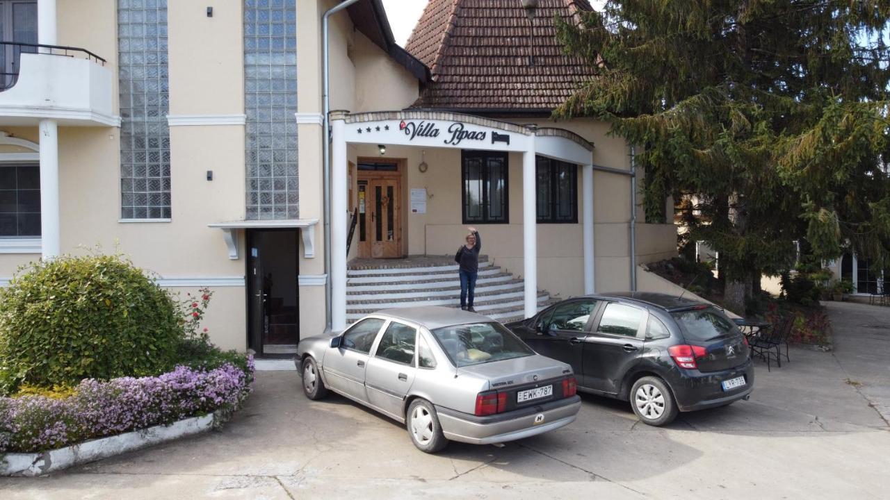 B&B Villa Pipacs Bácsfeketehegy Kültér fotó
