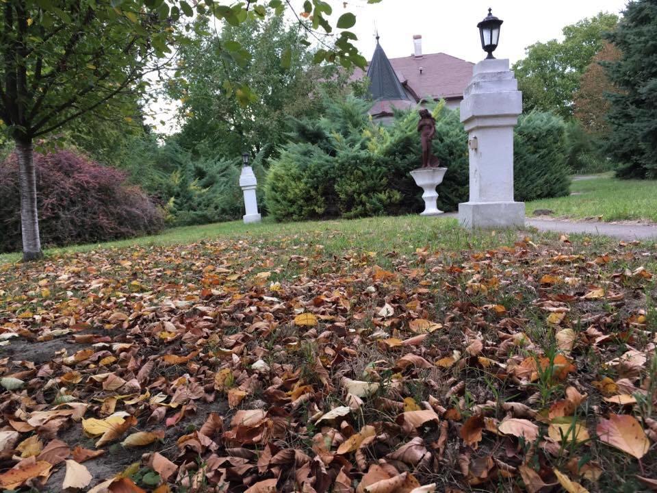 B&B Villa Pipacs Bácsfeketehegy Kültér fotó