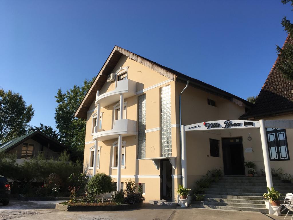 B&B Villa Pipacs Bácsfeketehegy Kültér fotó