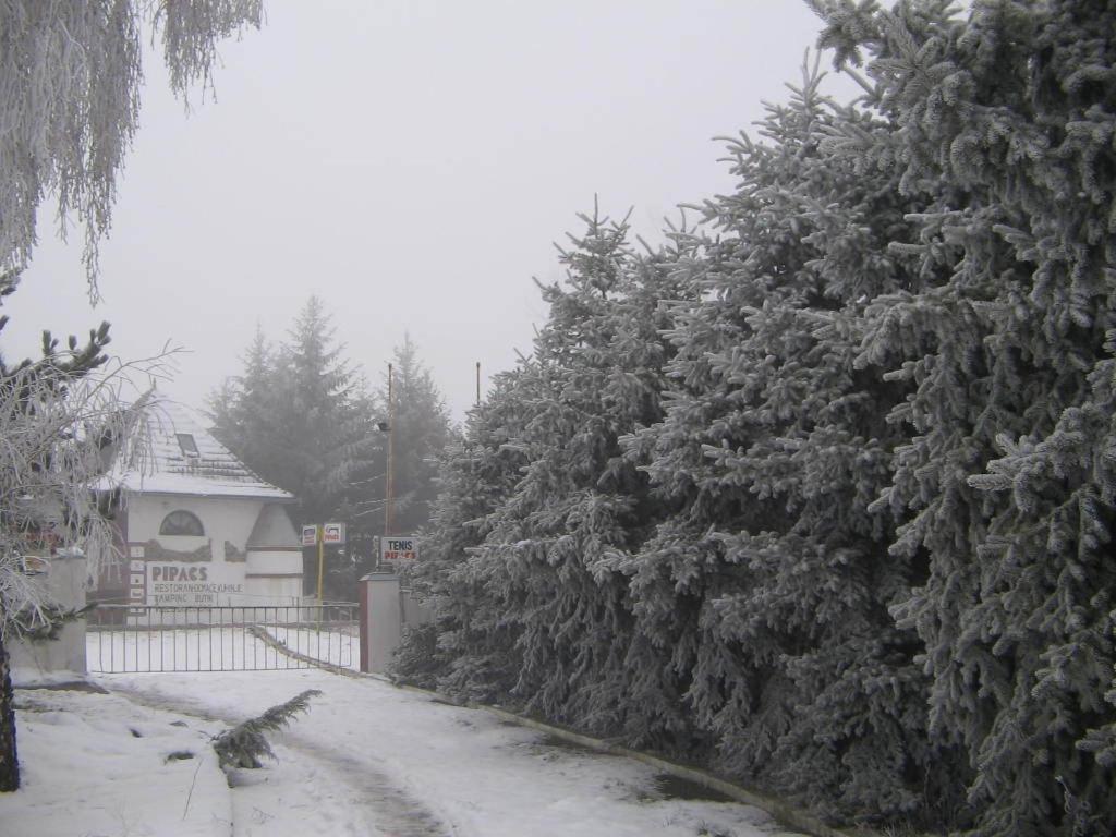 B&B Villa Pipacs Bácsfeketehegy Kültér fotó