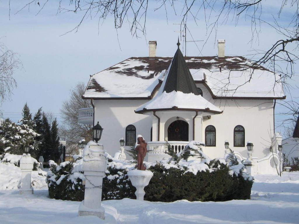 B&B Villa Pipacs Bácsfeketehegy Kültér fotó
