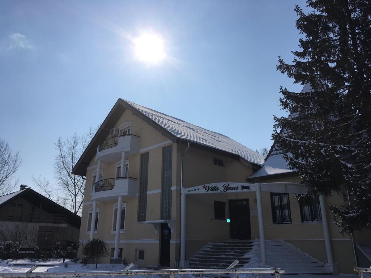 B&B Villa Pipacs Bácsfeketehegy Kültér fotó