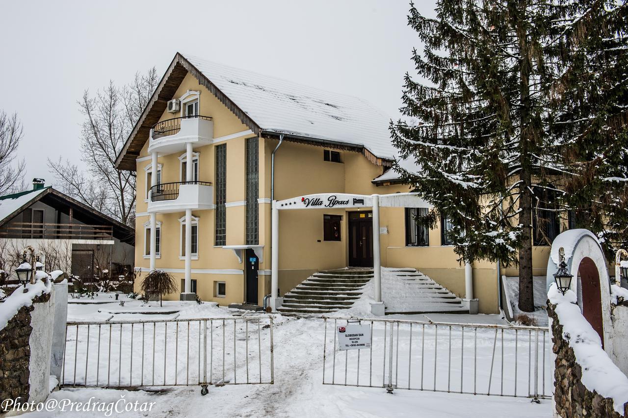 B&B Villa Pipacs Bácsfeketehegy Kültér fotó