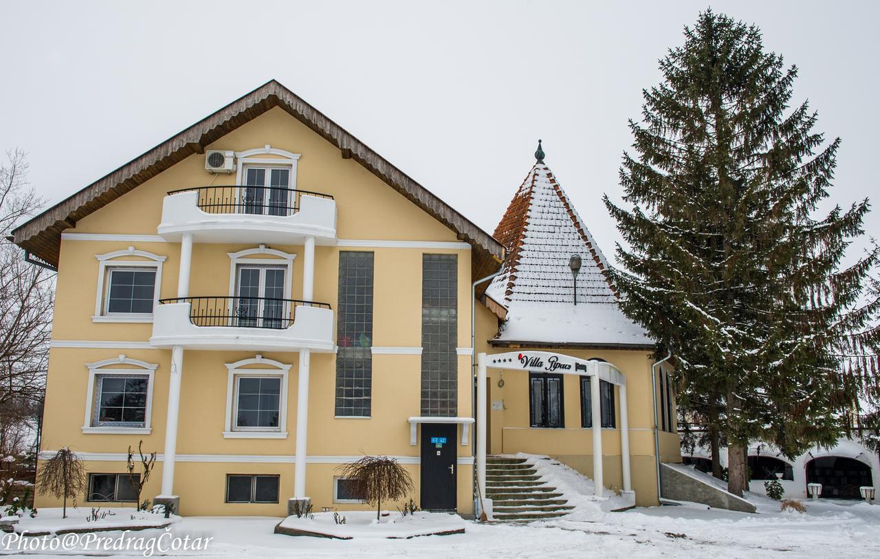 B&B Villa Pipacs Bácsfeketehegy Kültér fotó