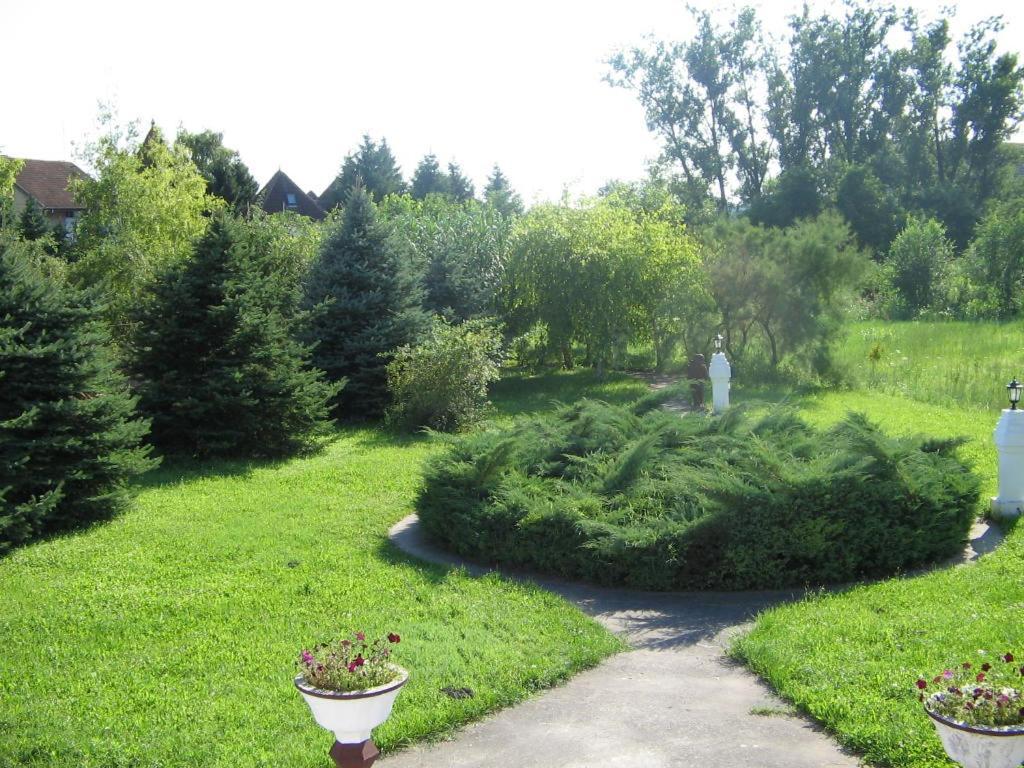 B&B Villa Pipacs Bácsfeketehegy Kültér fotó